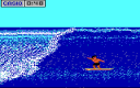 « Surfing »